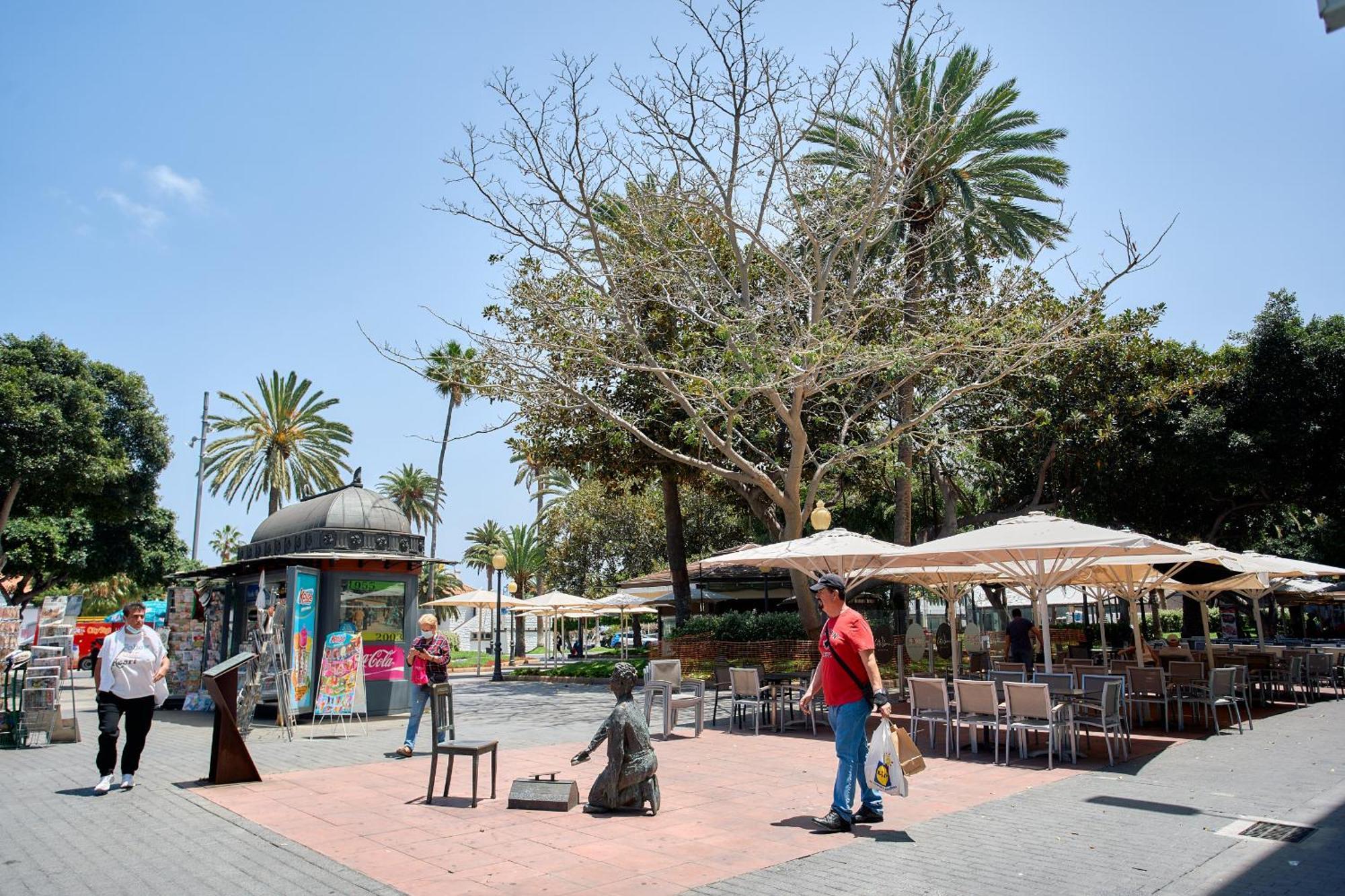 Urban Flat In Santa Catalina - 4 Min Walk To Beach Las Palmas de Gran Canaria Extérieur photo
